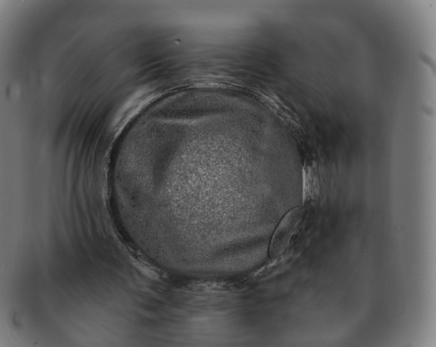 X0000091310291200708241120