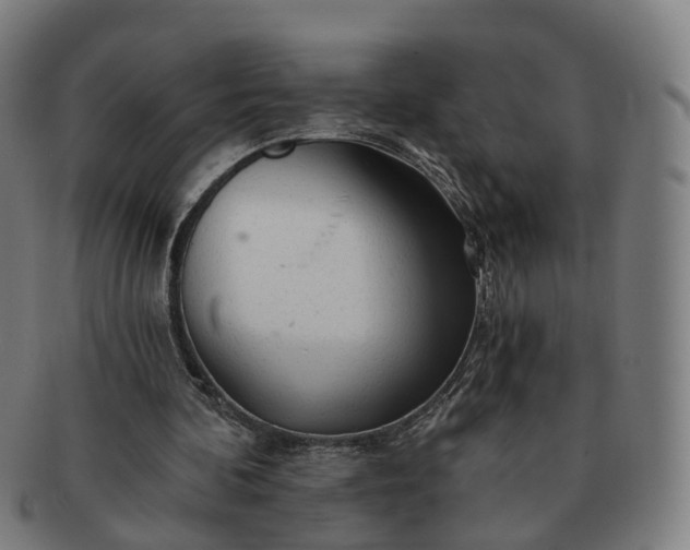 X0000091310292200708241120