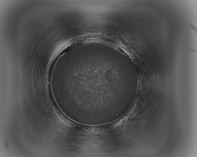 X0000091310293200708241120