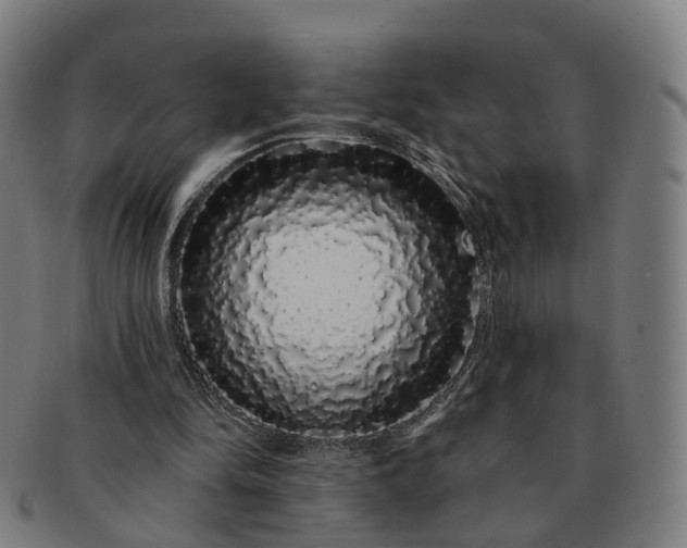 X0000091310294200708241120