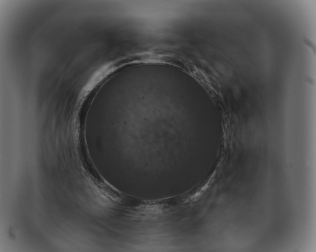 X0000091310295200708241120