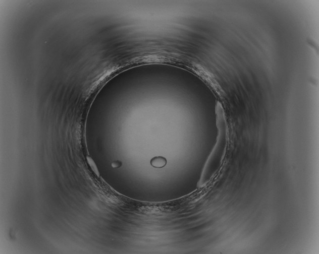 X0000091310297200708241120