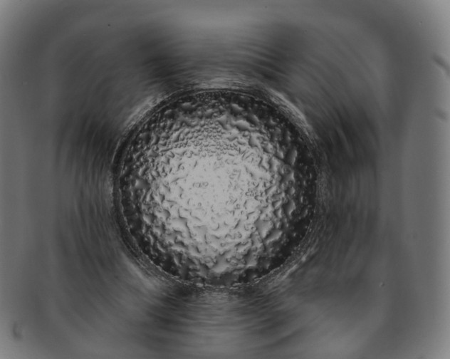 X0000091310298200708241120