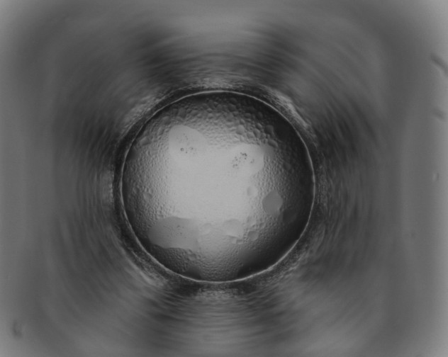 X0000091310299200708241120