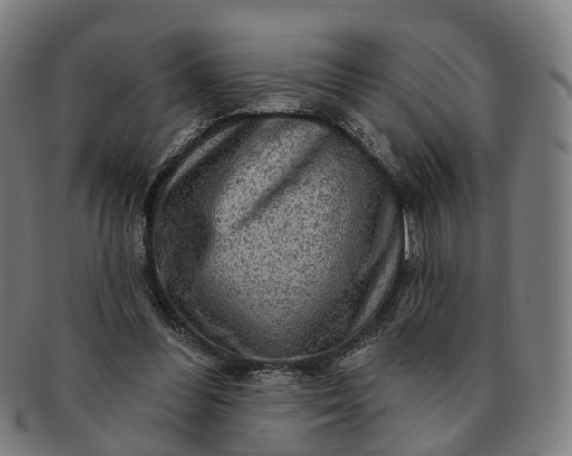 X0000091310300200708241120