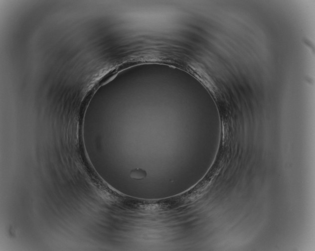 X0000091310301200708241120