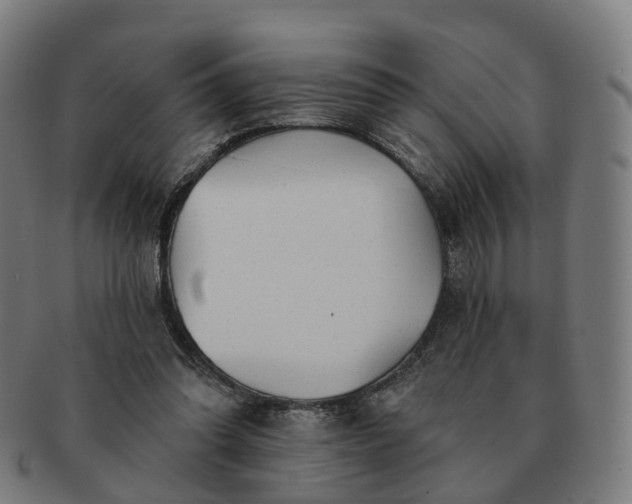 X0000091310302200708241119