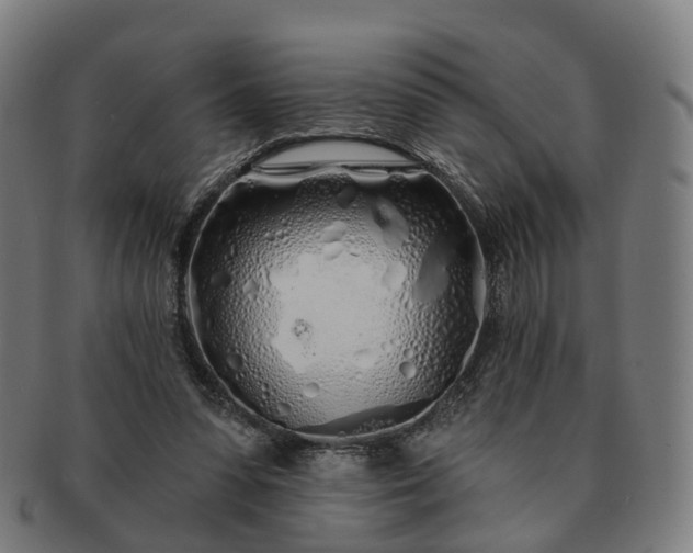 X0000091310303200708241119