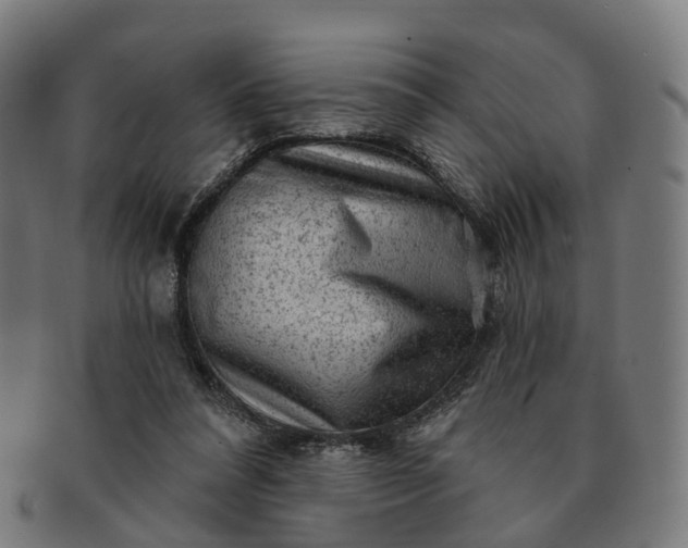 X0000091310304200708241119