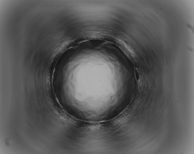 X0000091310306200708241119