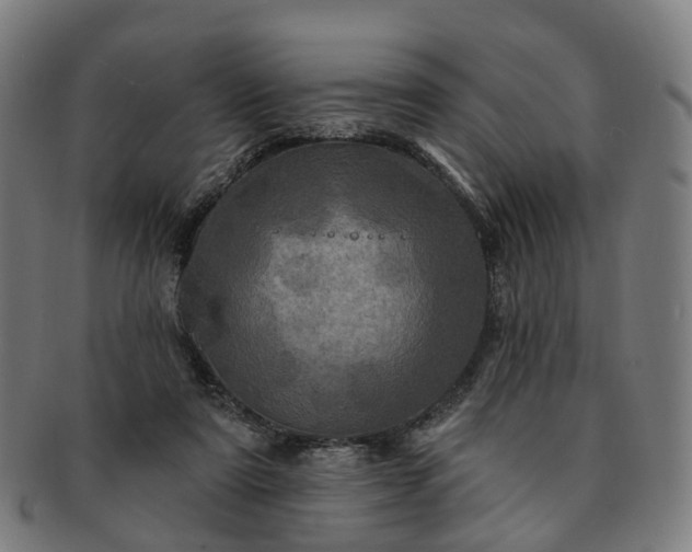 X0000091310307200708241119