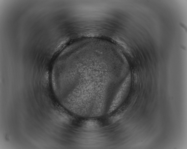 X0000091310308200708241119