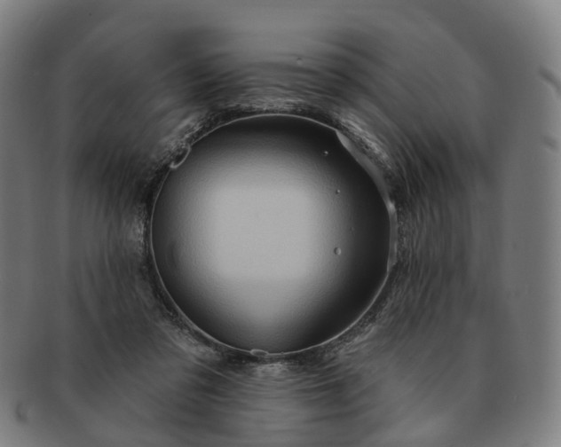 X0000091310309200708241119