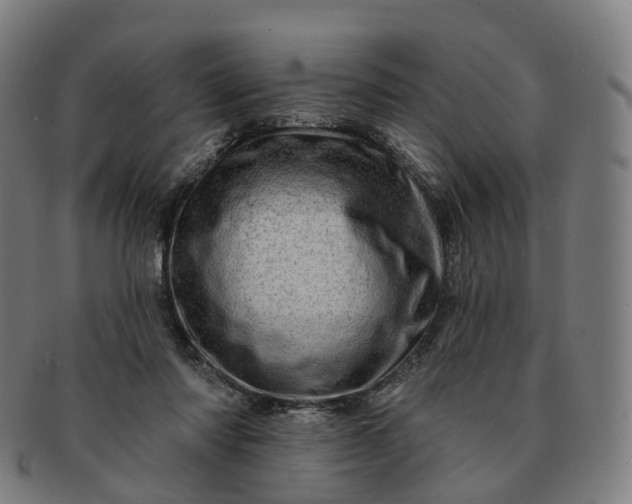 X0000091310310200708241119