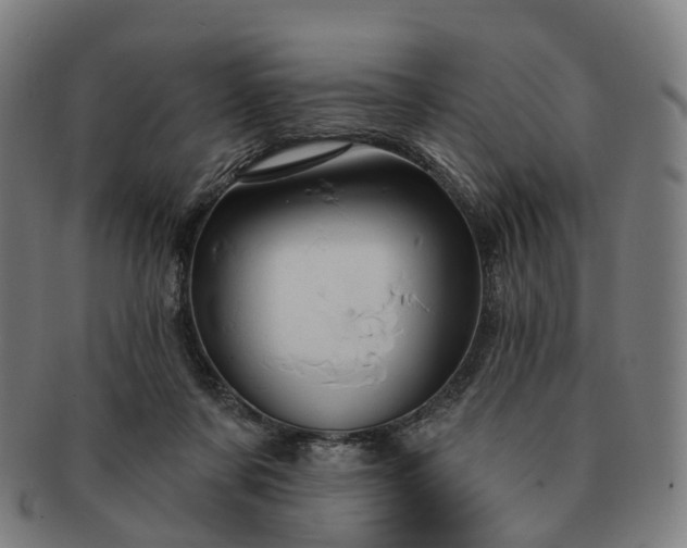 X0000091310311200708241119