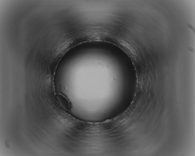 X0000091310314200708241119