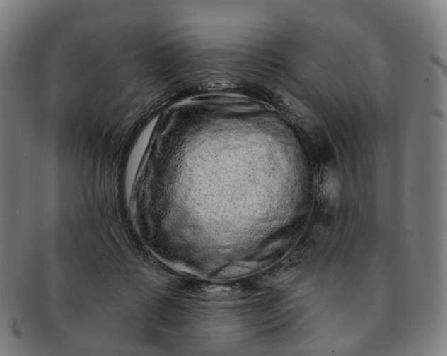 X0000091310315200708241119