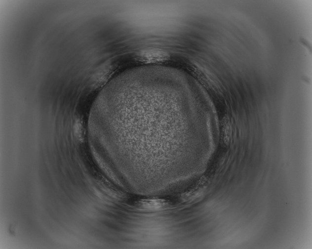 X0000091310316200708241119