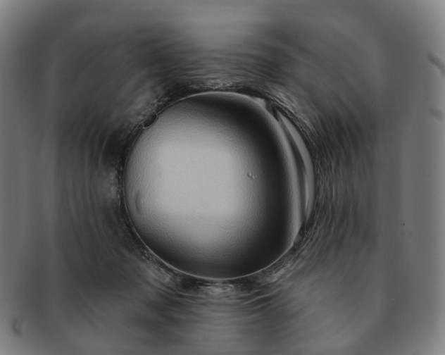 X0000091310317200708241119