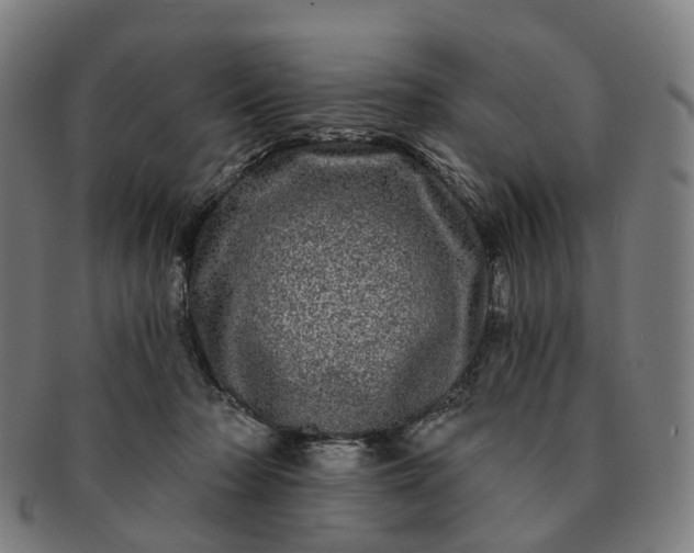 X0000091310318200708241119