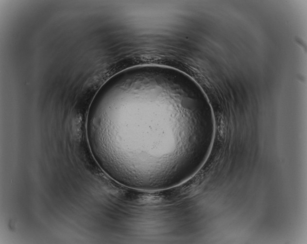 X0000091310319200708241119