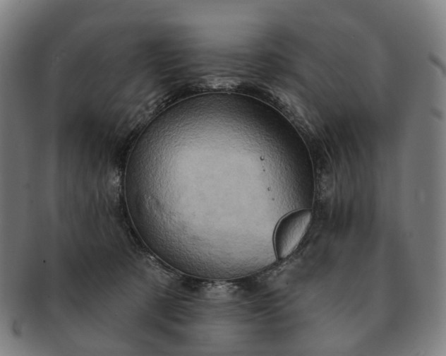 X0000091310321200708241119