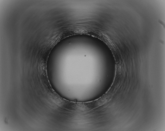 X0000091310322200708241119