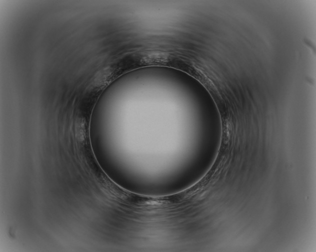 X0000091310323200708241119