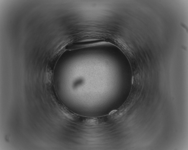 X0000091310325200708241119