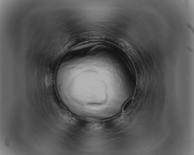 X0000091310326200708241119