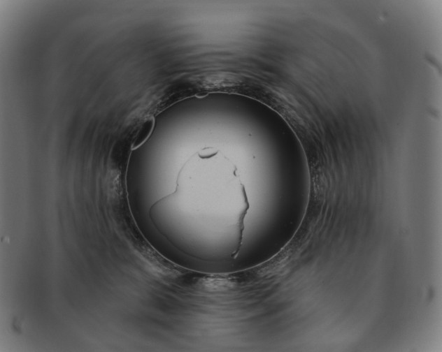 X0000091310327200708241119