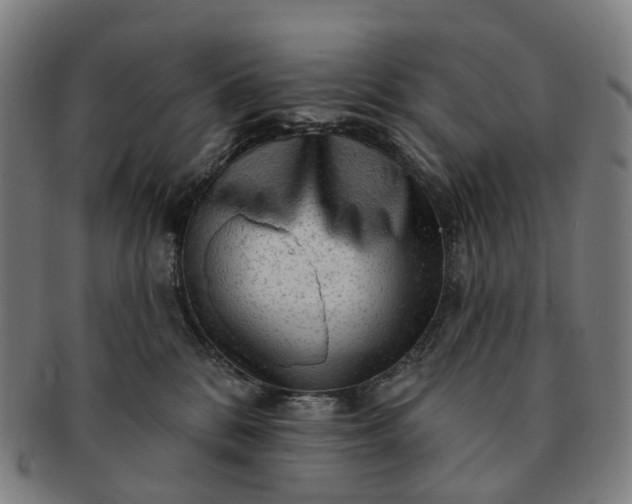 X0000091310328200708241119