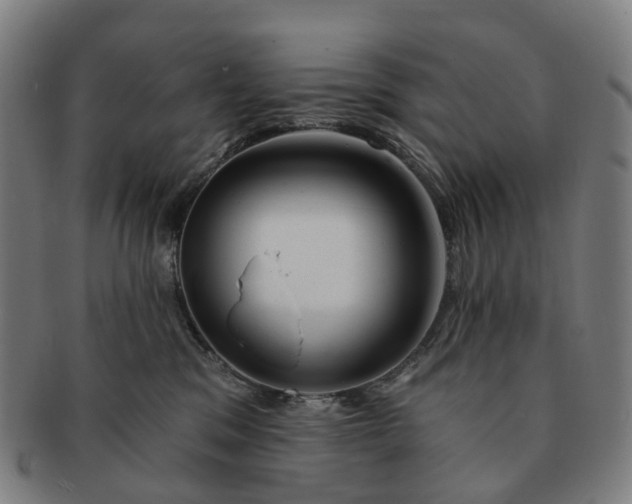 X0000091310329200708241119