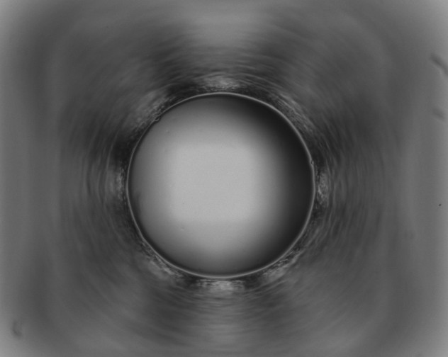 X0000091310330200708241119