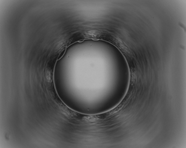 X0000091310331200708241119