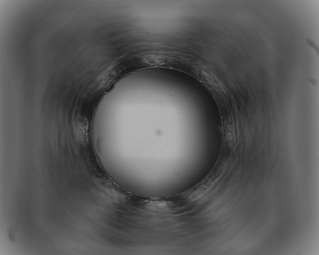 X0000091310332200708241119