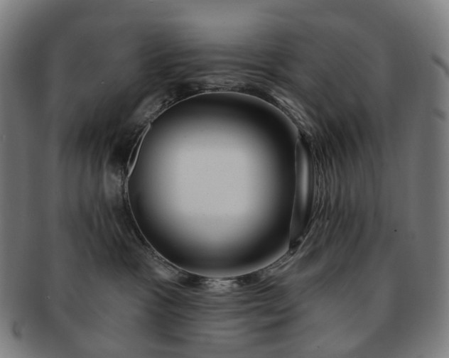 X0000091310333200708241119