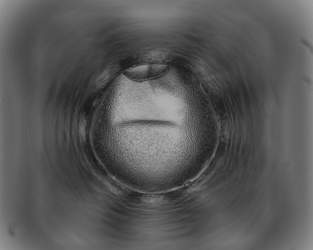 X0000091310334200708241119