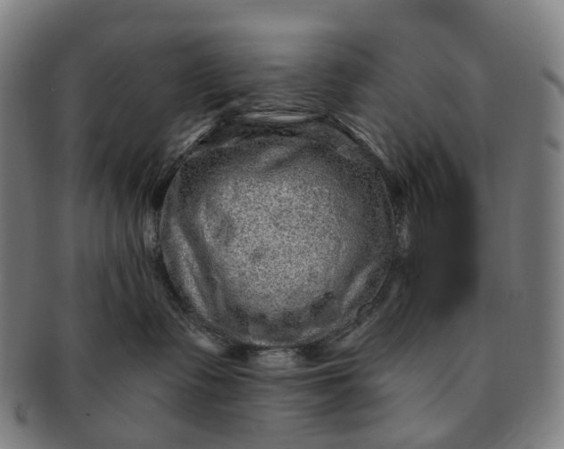 X0000091310335200708241119