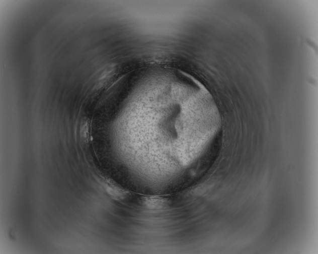 X0000091310336200708241119