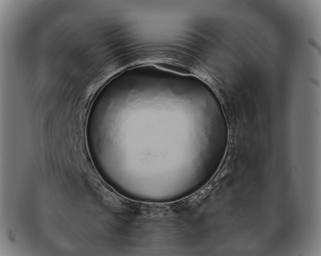 X0000091310337200708241118