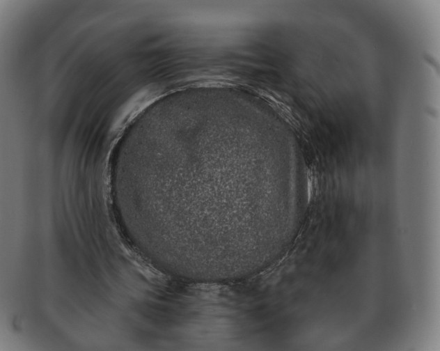 X0000091310339200708241118