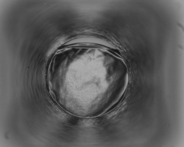 X0000091310341200708241118