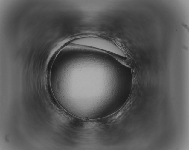 X0000091310342200708241118