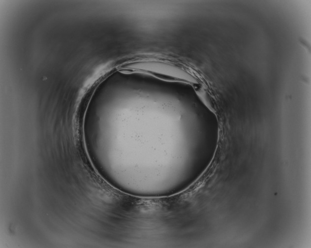 X0000091310343200708241118