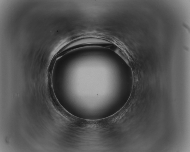 X0000091310344200708241118