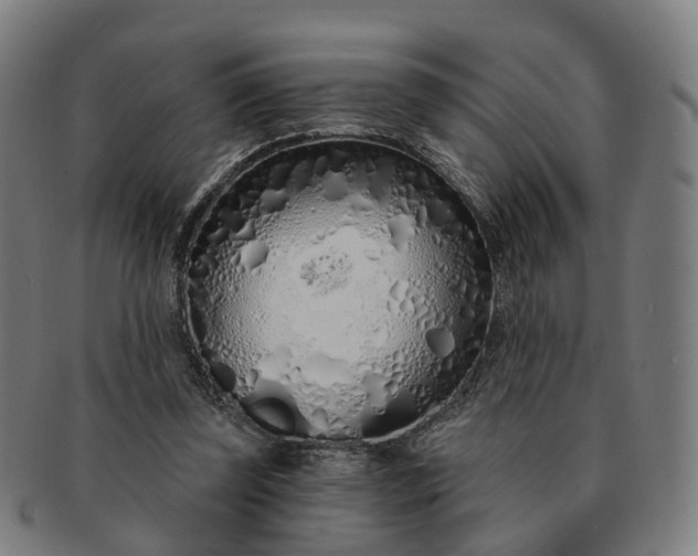 X0000091310347200708241118