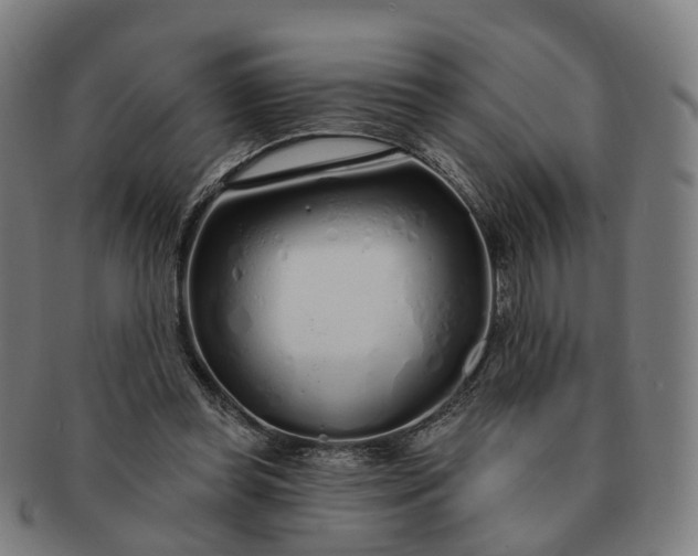 X0000091310349200708241118