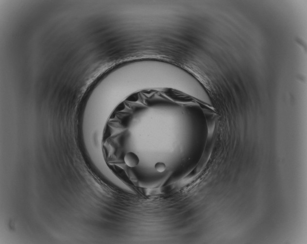 X0000091310350200708241118