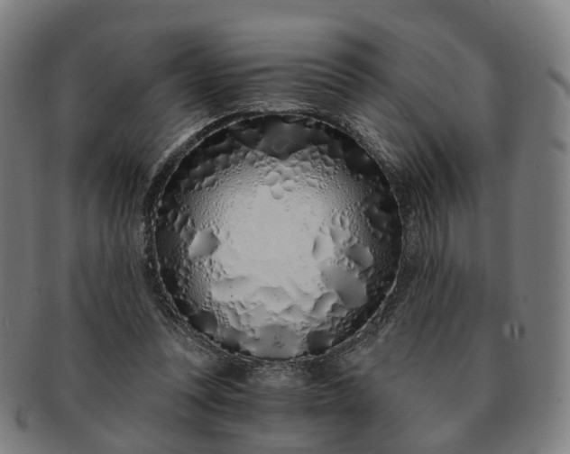 X0000091310351200708241118